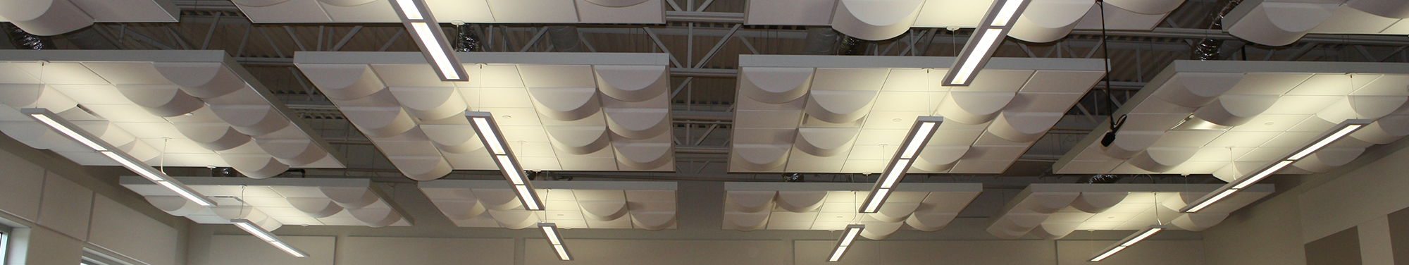 Speciality Accoustical Ceiling Tiles